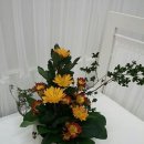 금왕한의원 이미지