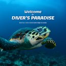 다이브11 이미지