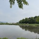 풍경닭발 티스토리