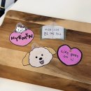 댄싱페이퍼스튜디오