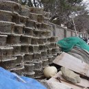 만성리해수욕장(자갈밭) 이미지