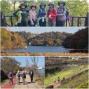 해파랑길 5-6코스 이미지