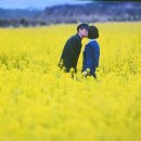 Attention GYM 이미지