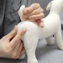 마루동물병원 이미지