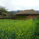 미화농장 이미지