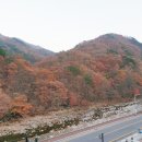 지리산뱀사골리움펜션 이미지