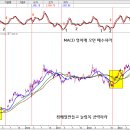 금]추세전환 과 MACD2번째 바닥공략 비법 이미지