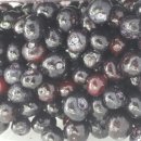 박수열농장 이미지