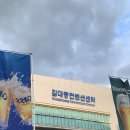 내돈내산) 광주비어페스타2025, 광주 맥주축제 솔직 후기