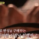 반성문 대필