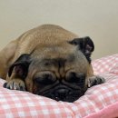 GS25 송내퍼스트점 이미지