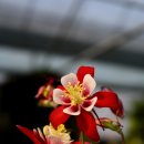 삽재농장 이미지