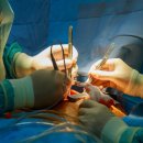 희망종합동물병원 이미지