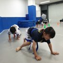 현중무관 백호 합기도 이미지