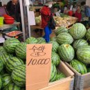 사러가플러스마트 이미지