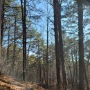 경남2단지 | 정림근린공원/배재대학교 산책로/배재대학교 운동장/경남아파트 2단지/도마동에서 살기/도마동