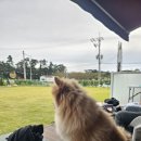 댕그라운드 이미지