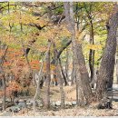 표충사놀이터(=표충사야영장) 이미지