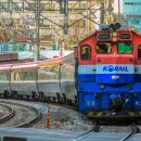 H1157 이미지