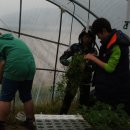 상민농장 이미지