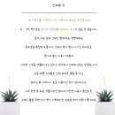 반려식물 - 문경시 당교12길 5-17 | 반려식물