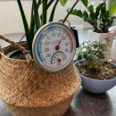 아날로그 이미지