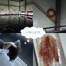 도깨비낚시터 | 경기 화성 바다낚시 동탄실내낚시터[도깨비 낚시터]