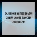 머시헤어 네이버블로그