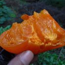 덕절산생태공원 | [전국일주 080] - 경북 청도, 덕절산생태공원, 용각산임도, 곰티재, 오션힐스CC, 온막리, 동창천...