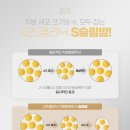 시즈의원 이미지