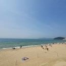 감나무집장어구이 이미지