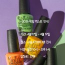 2026 네일 엑스포 안내입니다(마감) 이미지