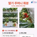 (주)금농
