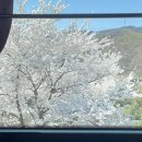 오트톡톡