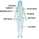 림프랩 네이버블로그