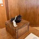 발한로1-L | 묵호 여행 카페 ‘도야하우스’ | 압도적 분위기, 제일 만족했던 묵호 감성 카페 티하우스