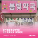 봄빛약국 이미지