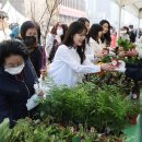 희망의 나무 이미지