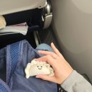 4?5?번째 상해러의 잡다한 팁들
