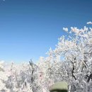 오리랑 쌈밥