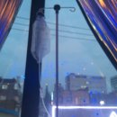 예지약국 이미지