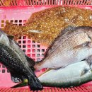 백번상회 이미지