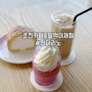 만다리노 | 조천카페 만다리노 추천메뉴와 말먹이체험후기