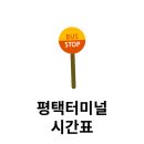 평택시외버스터미널 주변 | 평택시외버스터미널 시간표 노선 정보 운행 버스 예매
