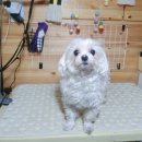 이쁘개(내포신도시점) 이미지