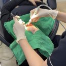 이살리는치과의원 이미지