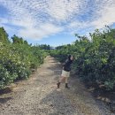 오앤비팜스테이 이미지