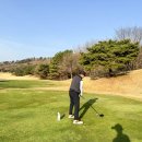 남자 골프장갑 추천 스파이더맨처럼 견고한 그립(테크스킨 스탠다드 파워그립)