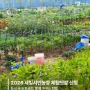 새빛전산