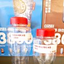 더리터운정초롱꽃 이미지